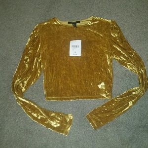 Velvet gold crop top